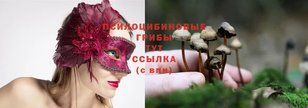 сатива Алексеевка