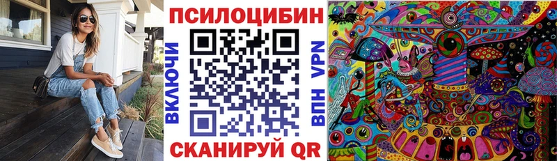 Галлюциногенные грибы Psilocybine cubensis  Каргат 