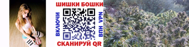 Бошки марихуана тримм  купить закладку  Каргат 